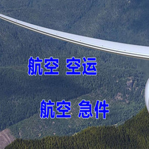 浪头机场货运快递-选东方航空和上海航空