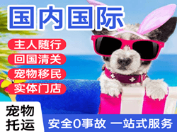 浪头机场货运国际宠物托运 【国